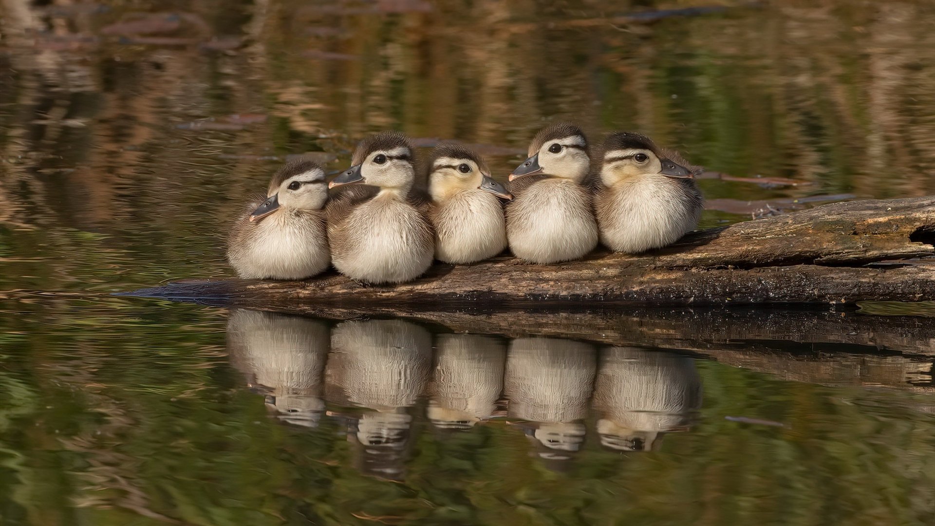 日本男足关键比赛力克劲敌,日本男足友谊赛