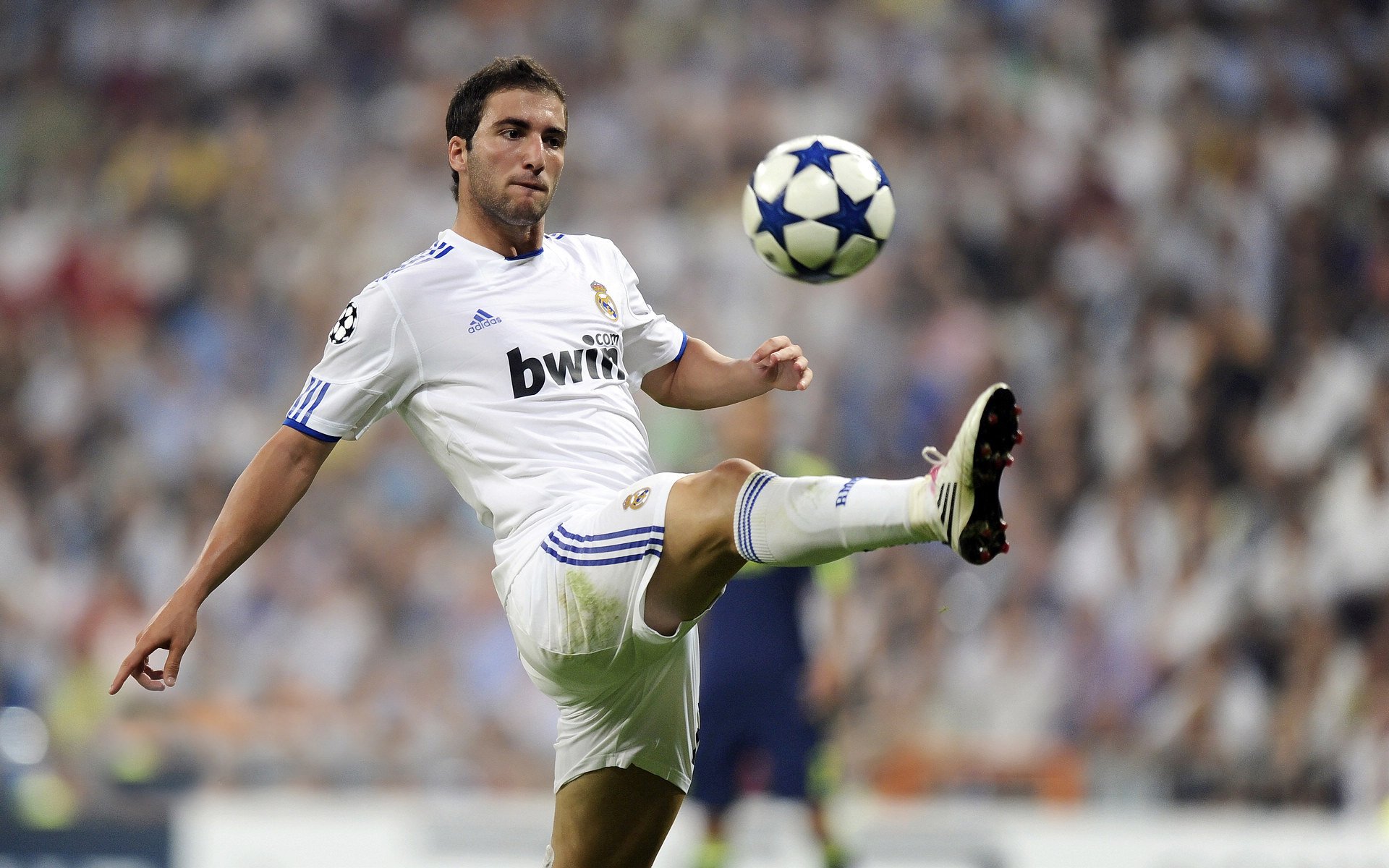 中国足球青少年训练营招生规模扩大，青少年足球培训招生