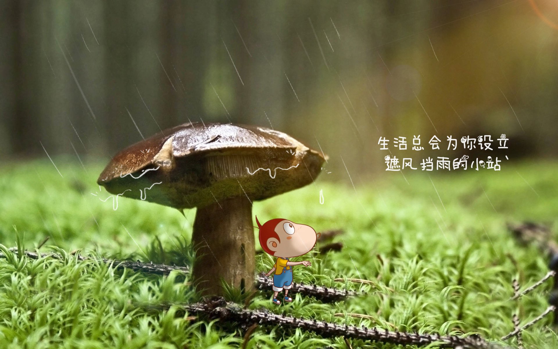 _森林狼队团结一致,继续争夺胜利_,森林狼团队口号