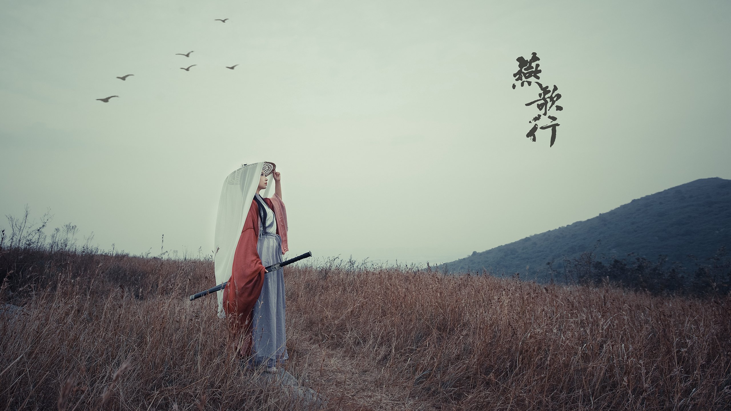 “德甲豪门逆势崛起,追赶第一集团”,德甲第一是谁