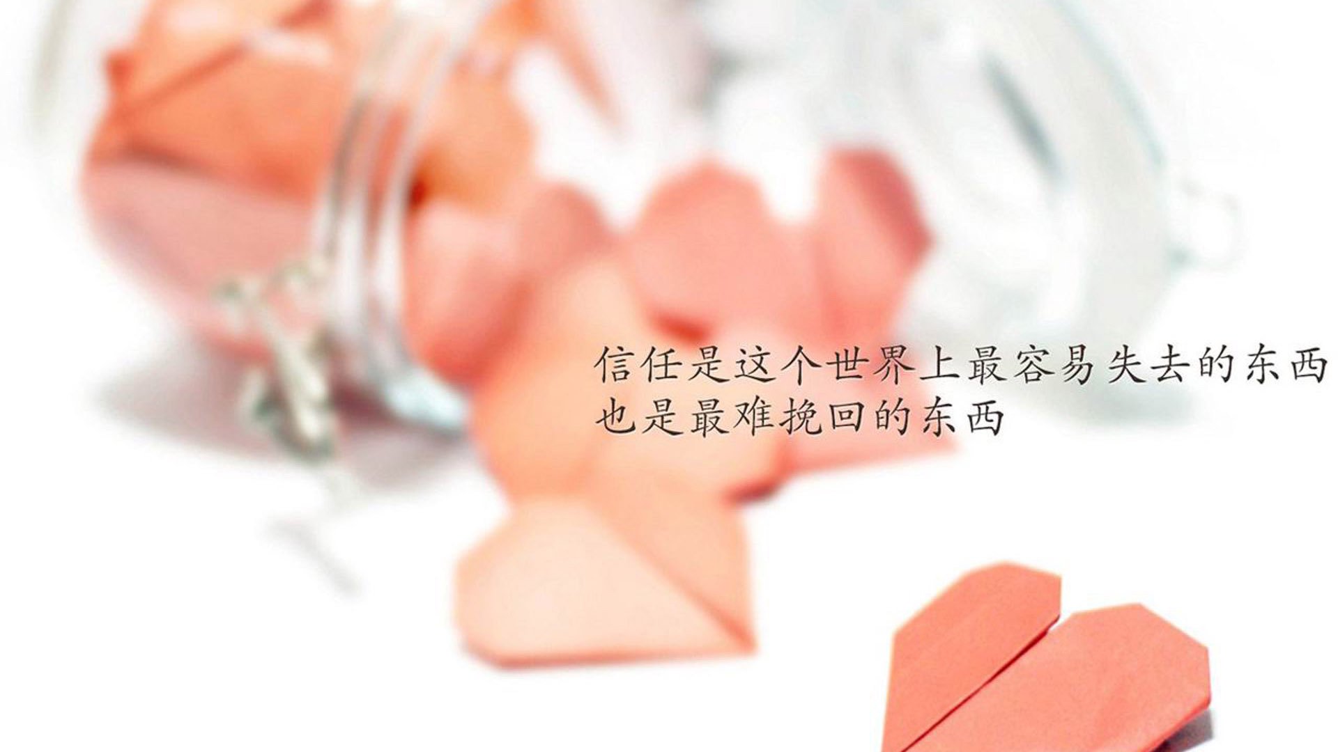 “青少年足球公益赛事广泛开展,推动体育普及”,青少年足球邀请赛