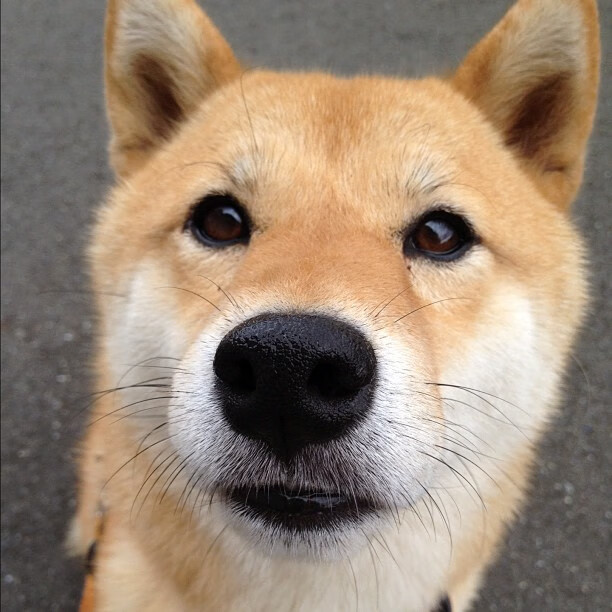 乡村迷你马拉松，体验纯朴乡村风光，乡村马拉松比赛