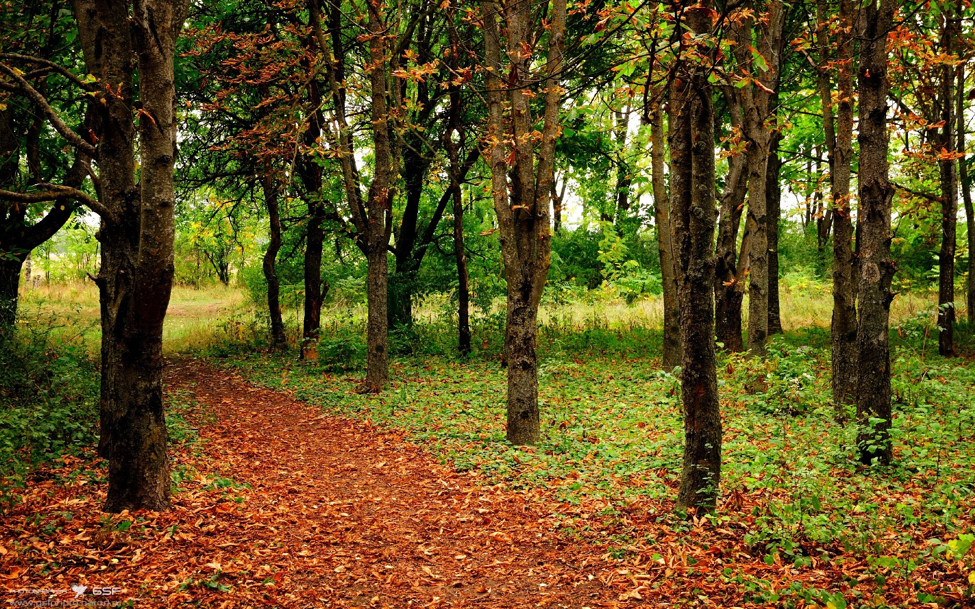 九游游戏-意甲激烈较量，球员专访揭秘场上战术调整的细节与心态变化，意甲争4