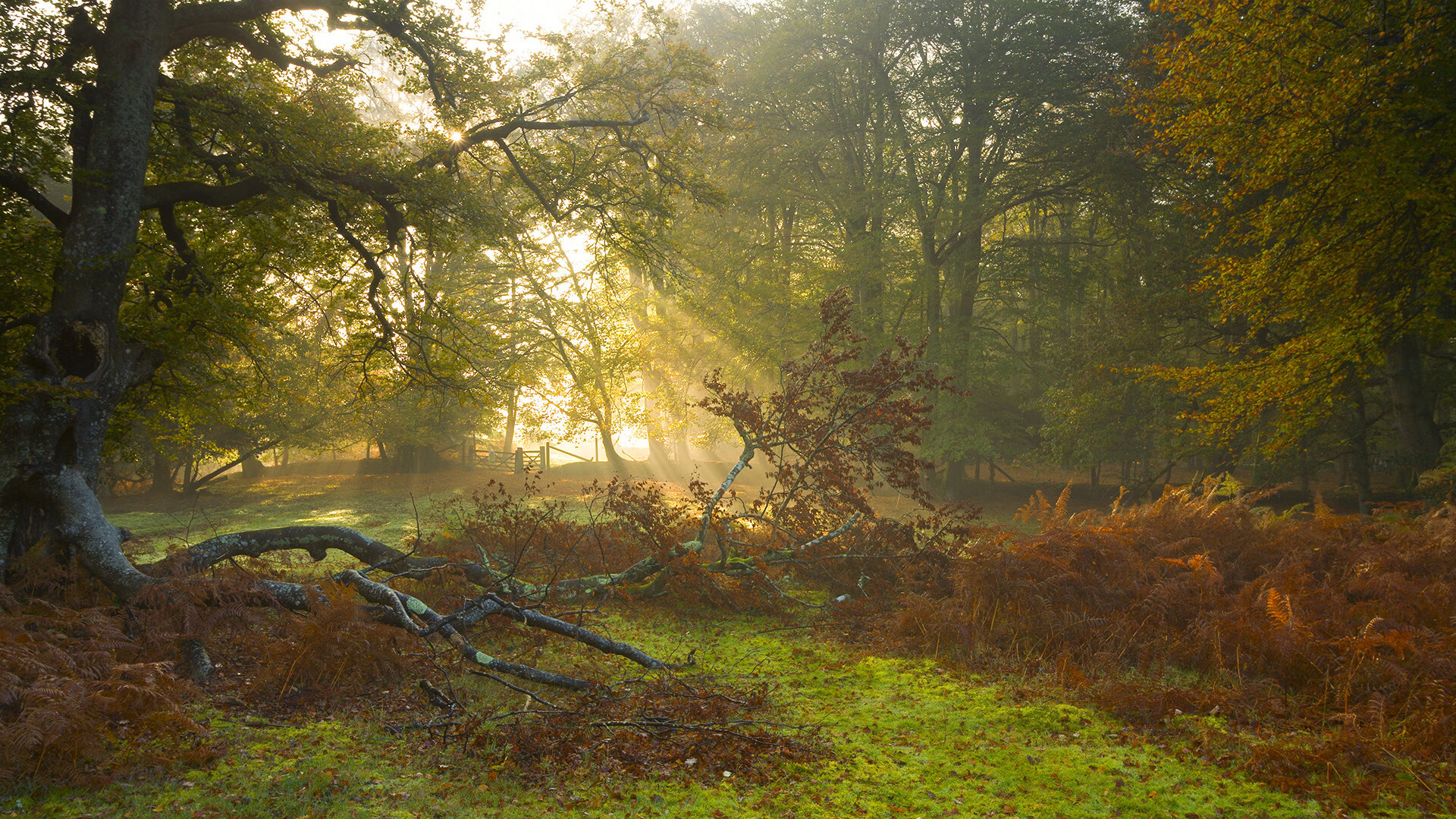 九游APP官网-日本男足关键比赛力克劲敌，日本男足友谊赛